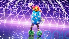 Masked Singer's Poodle shocking identity revealed as they are voted off 