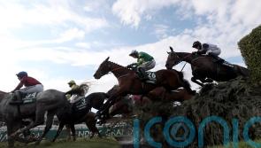 Connections of Discorama hanging on for Grand National weights reveal