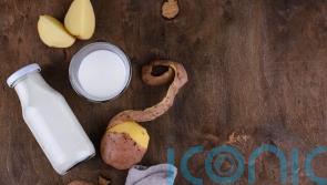 EXPLAINED: What is potato milk? Everything you need to know about the newest dairy alternative