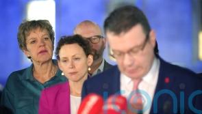 Labour in &lsquo;fight for survival&rsquo; following Alan Kelly&rsquo;s resignation