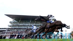 Third Wind outbattles Alaphilippe for Pertemps prize