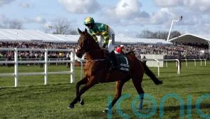 2021 Grand National winner Minella Times out for compensation at Cork