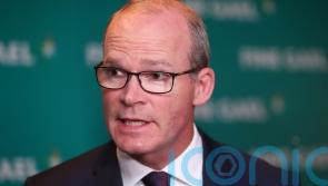 Coveney says peace is needed urgently in Ukraine amid new Russian offensive