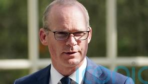 Coveney expected to raise Northern Ireland Protocol with senior officials during US visit