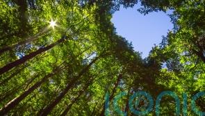 5 game-changing tips on how to make your holiday more eco-friendly