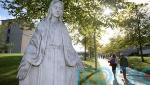 'You're playing politics' - Taoiseach and McDonald clash over maternity hospital plans