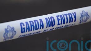 Gardai seek witnesses to fatal collision involving steamroller