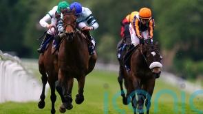 Quickthorn not for passing in Henry II Stakes