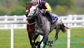 Quickthorn provides perfect boost for Princess Zoe