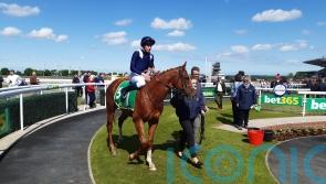 Chateau books Royal Ascot ticket at Beverley