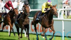 Fanshawe eyeing Lancashire Oaks option for Viola