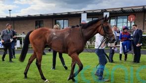 Age Of Kings claims cosy success at the Curragh