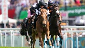 Legend Of Xanadu is Woodcote hero for Channon