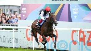 Dettori shines from the front on Megallan