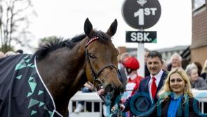 Clover considering future options for Rogue Millennium