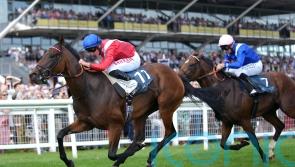 Sacred set for Royal Ascot return
