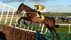 Dual Gold Cup hero Al Boum Photo bows out