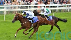 Zain Claudette on course for Commonwealth Cup return