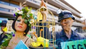 Climate campaigners picket &lsquo;talking shop&rsquo; biodiversity conference