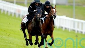 Crisford team considering options for West Wind Blows after Derby effort