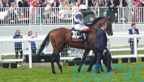 Irish Derby &lsquo;most obvious objective&rsquo; for Piz Badile