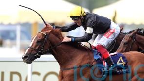 Stradivarius bidding to defy Father Time with a fourth Gold Cup