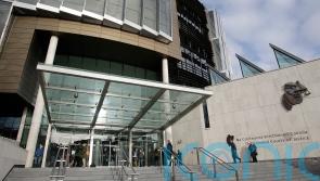 Complaints made against 1,600 Irish lawyers last year, watchdog reveals