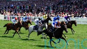 Meditate makes Albany splash