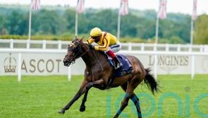 Campanelle seeking Ascot hat-trick in Platinum Jubilee