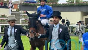 Noble Truth makes all for Jersey Stakes triumph