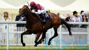 Missed The Cut makes no mistake &ndash; now world is his oyster