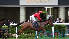 Big sprint targets under the microscope for Highfield Princess