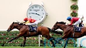 Cox Plate defence likely to be major aim for State Of Rest