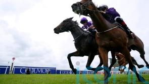 Crispy Cat hunting Railway compensation after luckless Ascot run