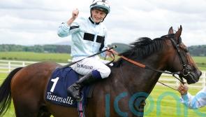 Marquand: No reason Alenquer will not find more improvement