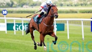 July Cup in the mix for Twilight Jet