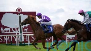 Proud And Regal looks a name to remember