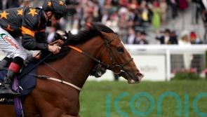 Resurgent Rohaan on the up following Wokingham repeat