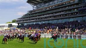 Rocket Rodney ready to roar in Dragon Stakes