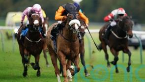 Raasel primed for Charge challenge at Sandown