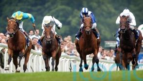 Holland: Falbrav would have held his own in any era