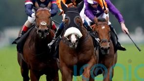 &lsquo;Rapid&rsquo; Raasel all set for Sandown Charge