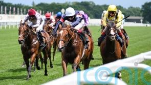 Sir Busker team to explore stepping up in trip