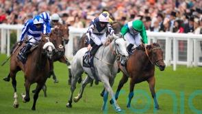 Lord Glitters bows out after sparkling career