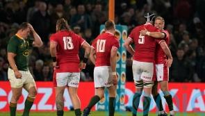 Wales claim historic first victory over Springboks on South African soil