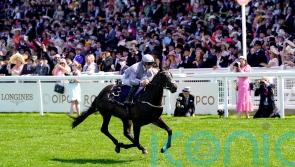 Burke favouring juvenile options for Queen Mary victor Dramatised