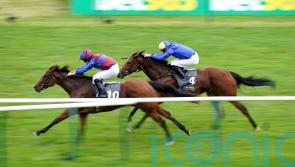 Tenebrism triumphs for O&rsquo;Brien in Prix Jean Prat