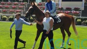 Defence Of Fort has Group targets after impressive winning debut