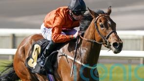 Plans fluid for Double Or Bubble