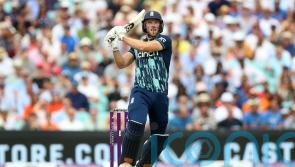 David Willey back in love with cricket and enjoying return to England prominence